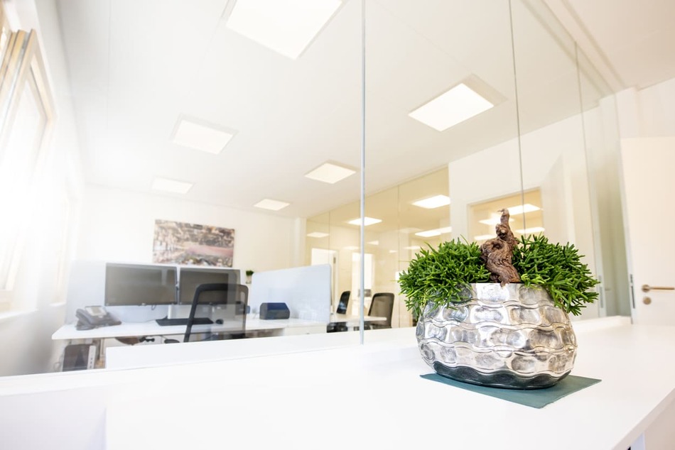 Modernes Büro mit weißen Schreibtischen und schwarzen Stühlen, gesehen durch einen Glastrenner; eine dekorative Pflanze in einem strukturierten silbernen Topf steht im Vordergrund auf einer weißen Fläche.