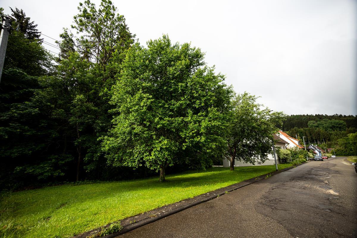 Solides Einfamilienhaus mit großem Grundstück in ruhiger Lage von Balingen-Zillhausen! - Gartenbereich